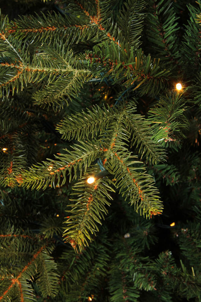 Black Box Trees Frasier - Kunstkerstboom - Groen - 480 - 230 cm