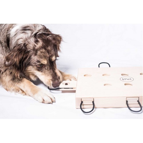 Jogo de Inteligência Canina iPet