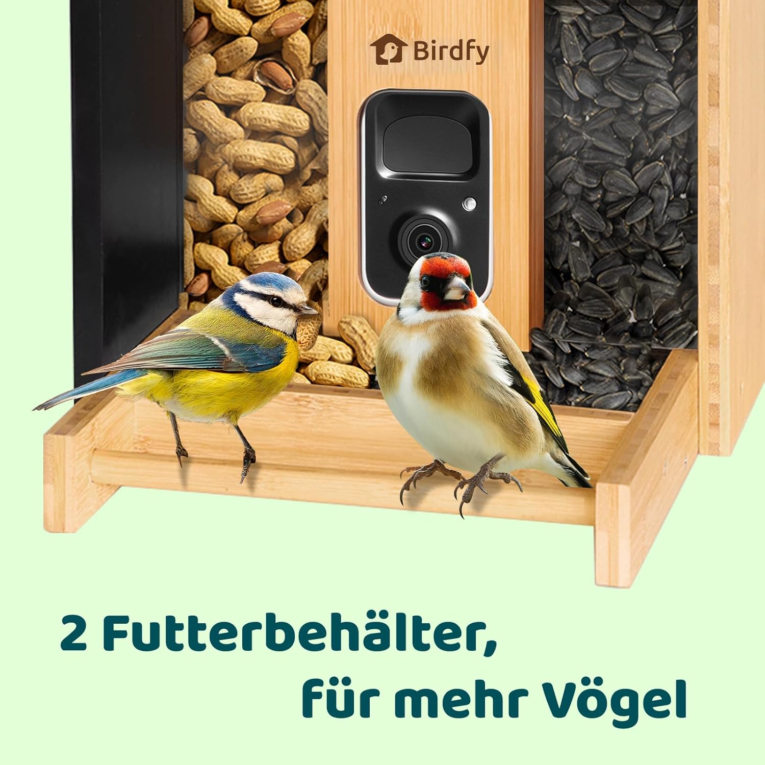 NETVUE by Birdfy Bambus Mini Vogelfutterhaus mit Kamera für Live Vogelbeobachtung, Solarbetrieb Vogelfutterspender mit App, Automatisch Aufnahm und Echtzeit Benachrichtigung bei Vogelbesuch