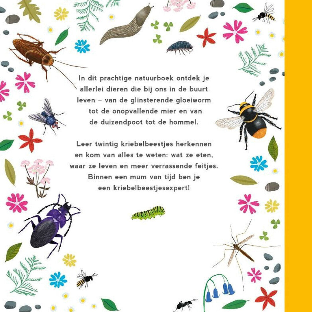 Uitgeverij lemniscaat mijn eerste kriebelbeestjesboek