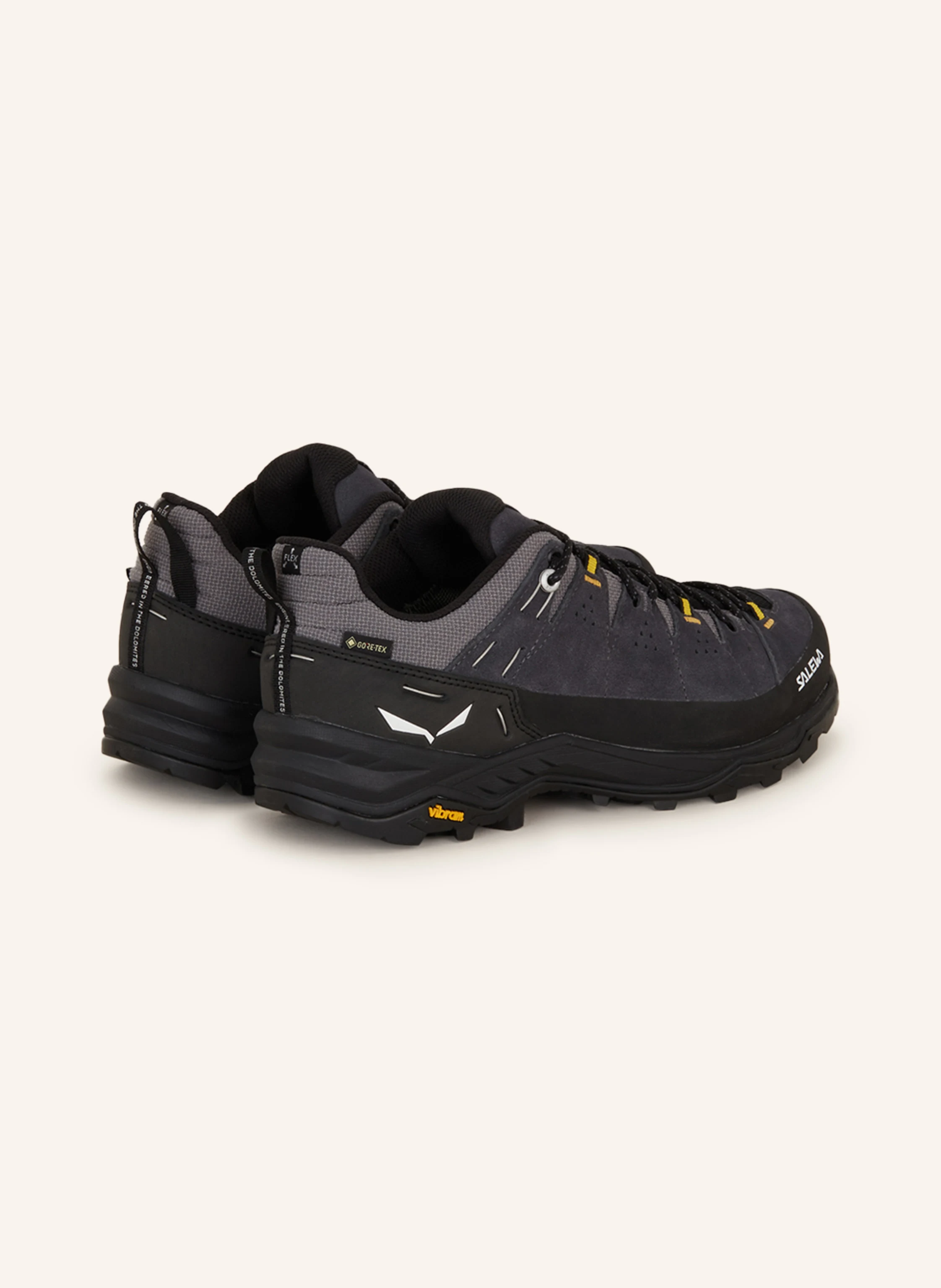 SALEWA Wanderschuhe ALP TRAINER 2 GTX