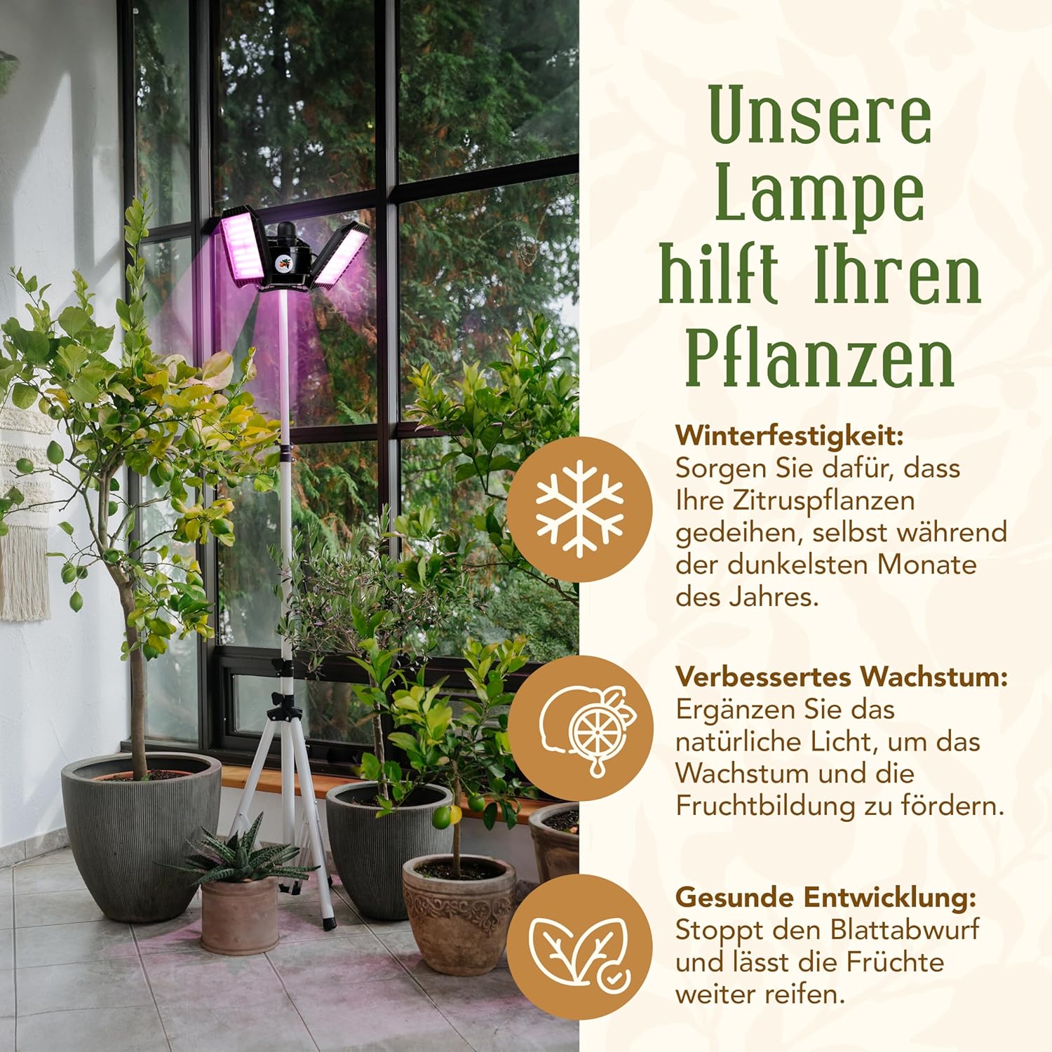 Meine Orangerie - LED-Pflanzenlampe FLEX [60W] - Vollspektrum LED Pflanzenleuchte zur Überwinterung von mediterranen Pflanzen - Entwickelt mit den Zitruspflanzen-Profis (LED Lampe)