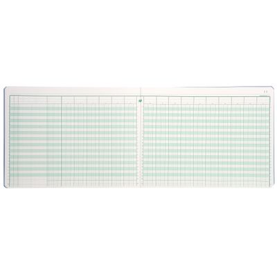 Exacompta - Piqûre comptable - 17 colonnes par page - 25 x 32 cm - 80 pages