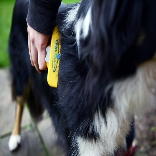 Escova Fuminator para cães grandes de pelo comprido.