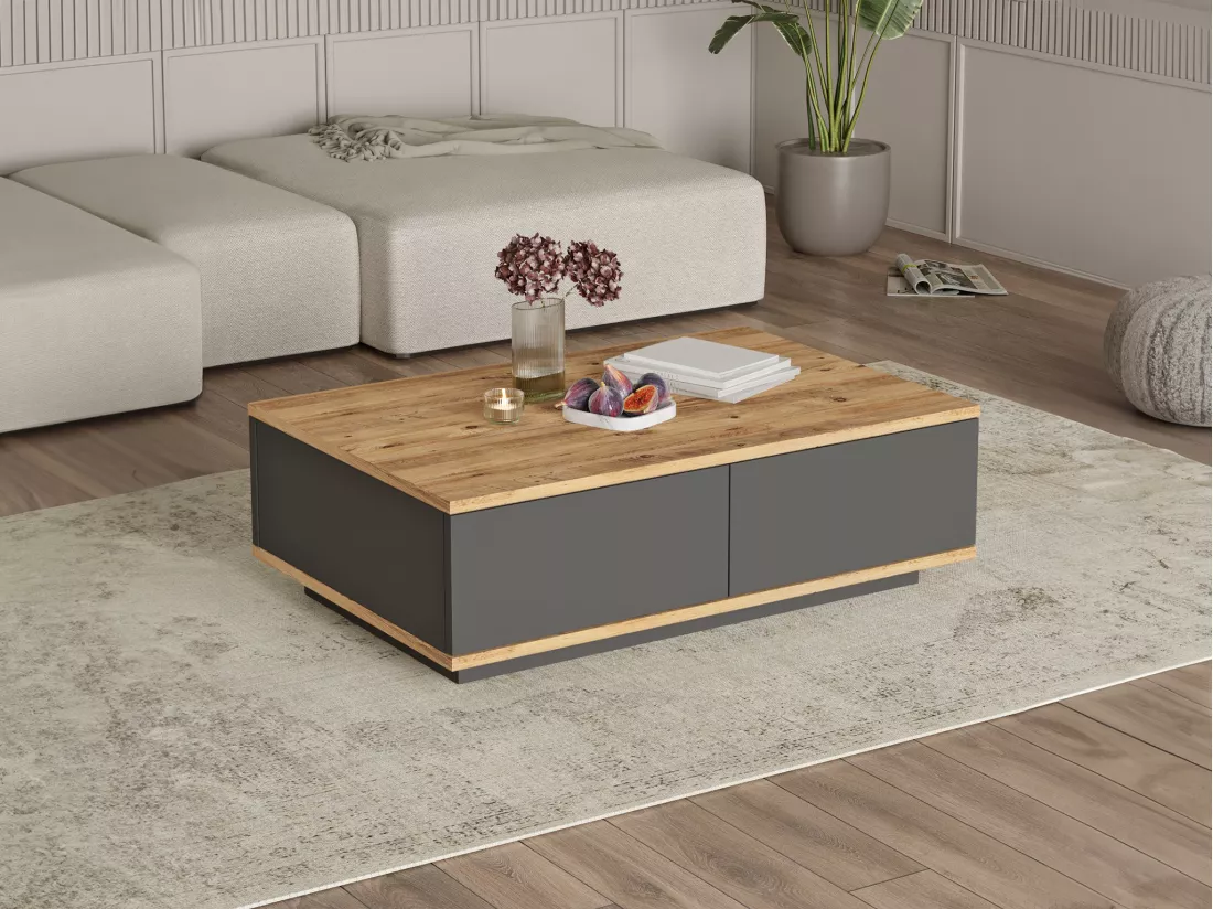 Table basse avec 2 portes - Naturel et Anthracite - LOTULA