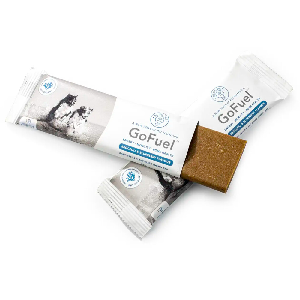 Blue Pet Co GoFuel Energy BarPumpkin50 gr
