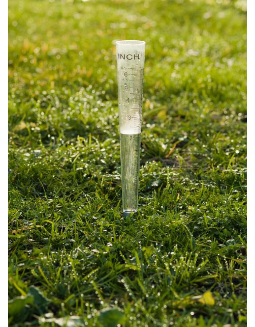 Nature Regenmeter - Kweekbenodigdheden - 4x4x30.8 cm Transparant