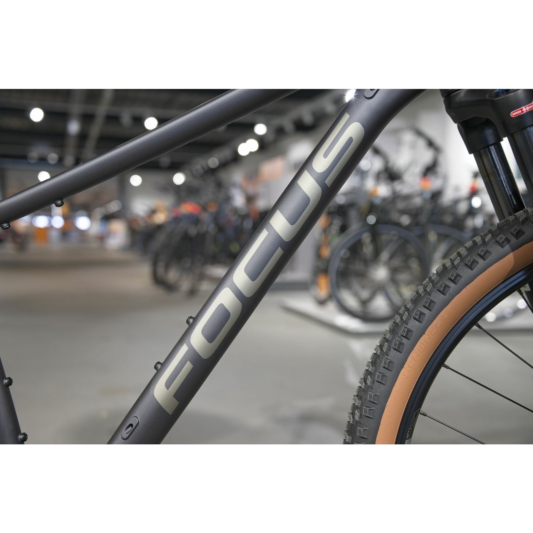 Focus Whistler 3.9 2025