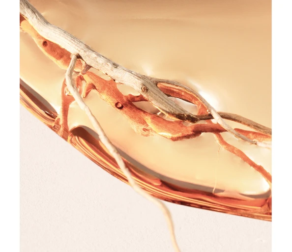 Hugo Boss ALIVE Intense Eau de Parfum