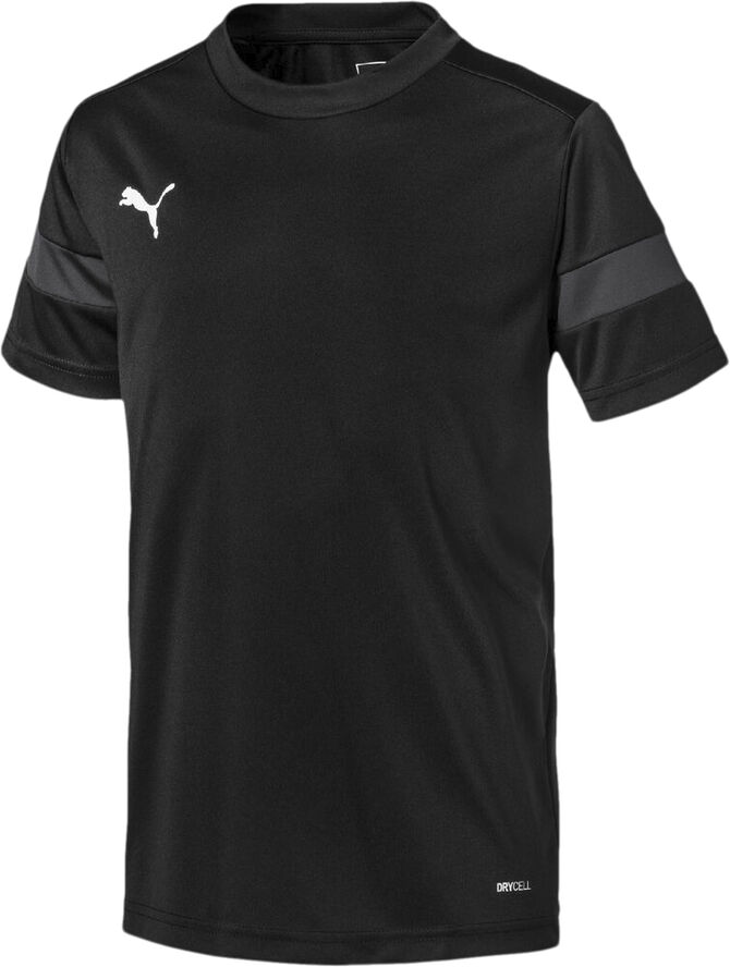 Puma ftblPLAY T-shirt Sort
