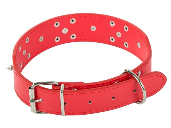 Hundhalsband med Nitar - Halsband för Katter och Hundar - XL