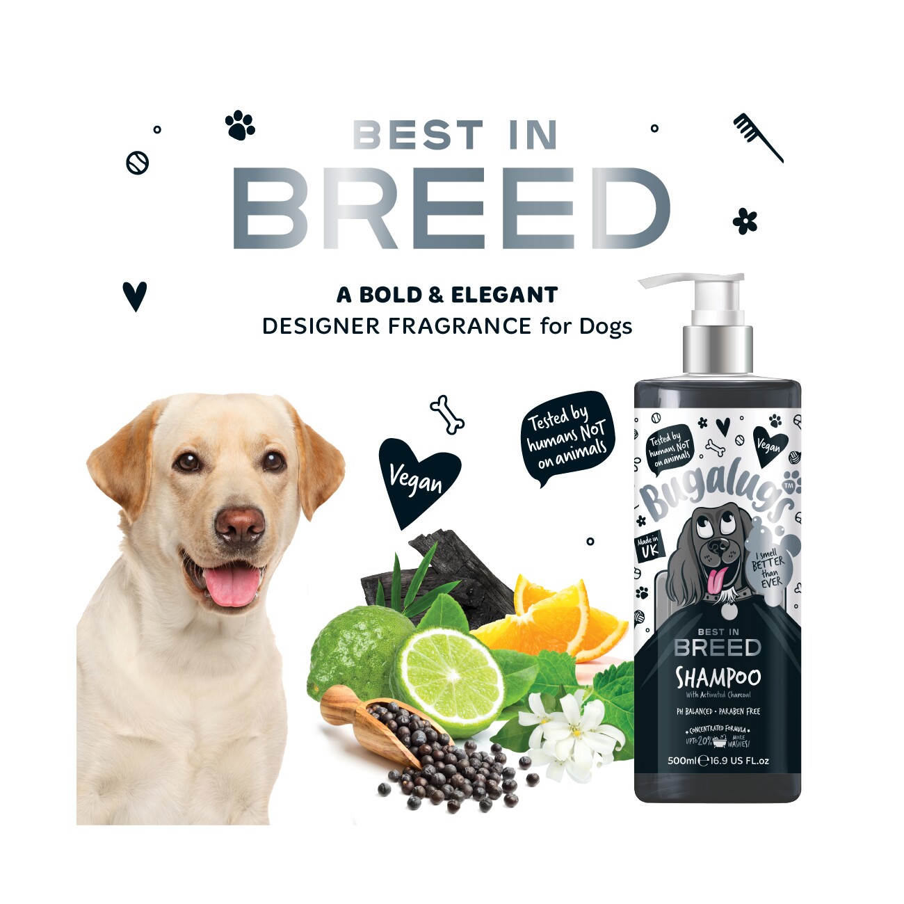 Bugalugs Charcoal Citrus – Aktivkohle-Hundeshampoo mit erfrischendem Zitrusduft