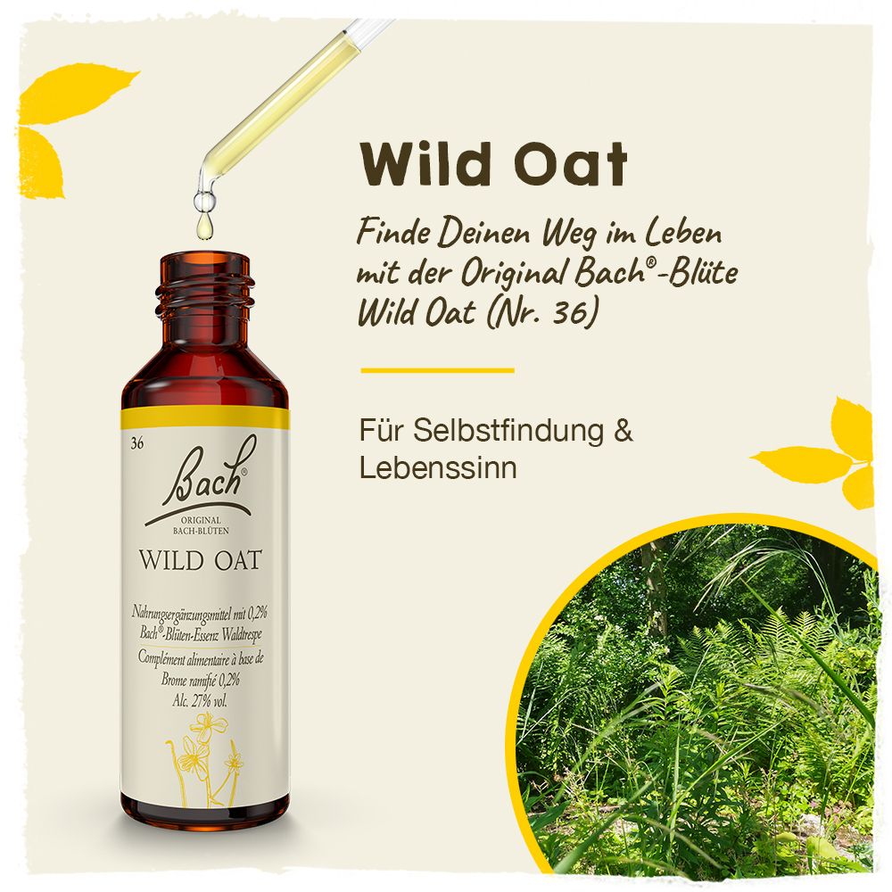 BACH®-BLÜTE WILD OAT (Waldtrespe)