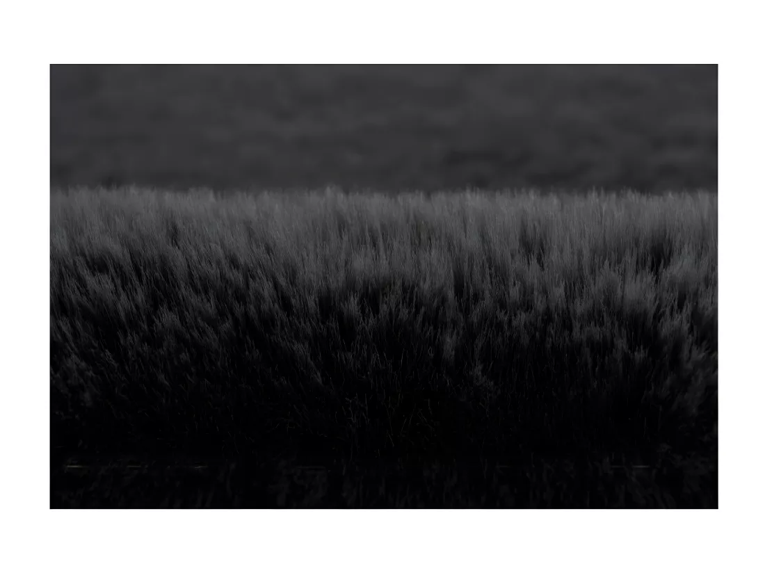 Tapis 290x200cm, design H008N coloris graphite - Confort et élégance pour votre intérieur