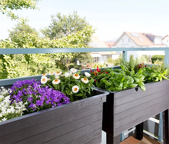 Garantia Urban Balkon-Hochbeet-Set
