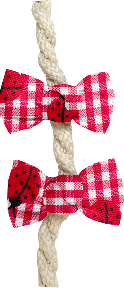 Barrettes Clic-Clac Petits Noeuds Vichy Coccinelle
