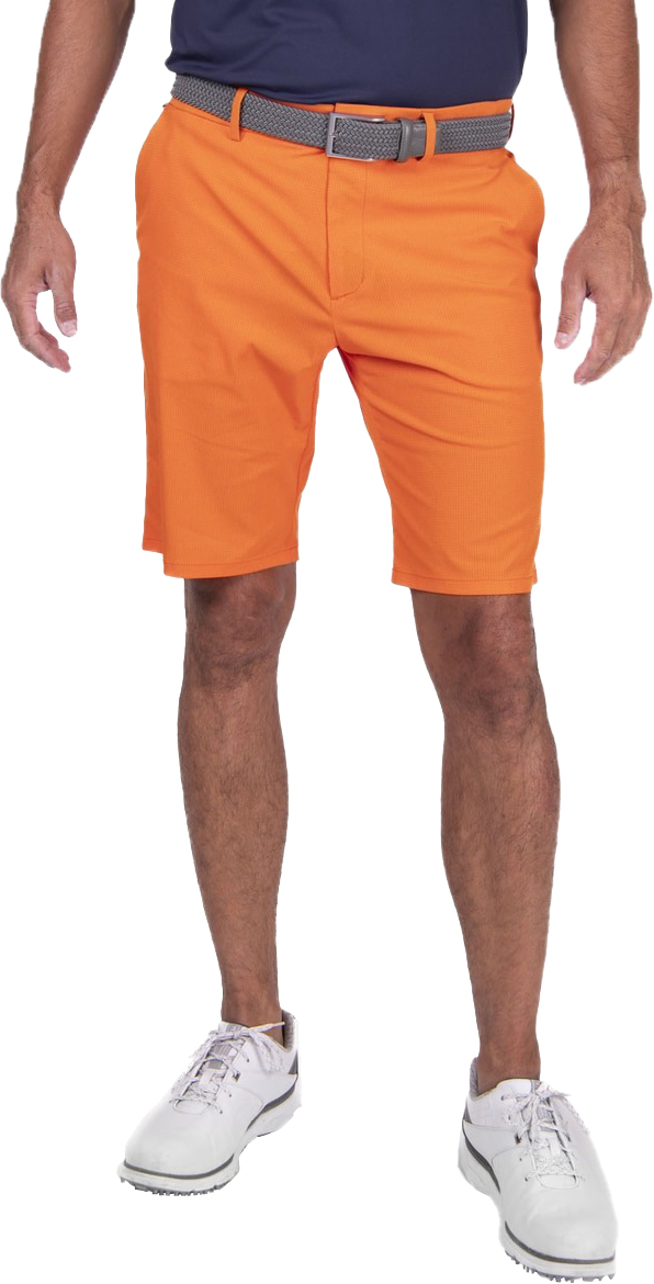 Trade Wind Shorts 10