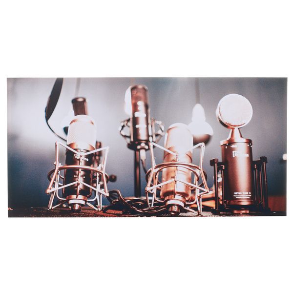 t.akustik Print Panel Shiny Mics