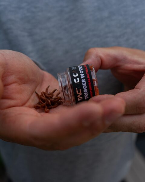 Vers artificiels aromatisés Tactic Carp (30ml)