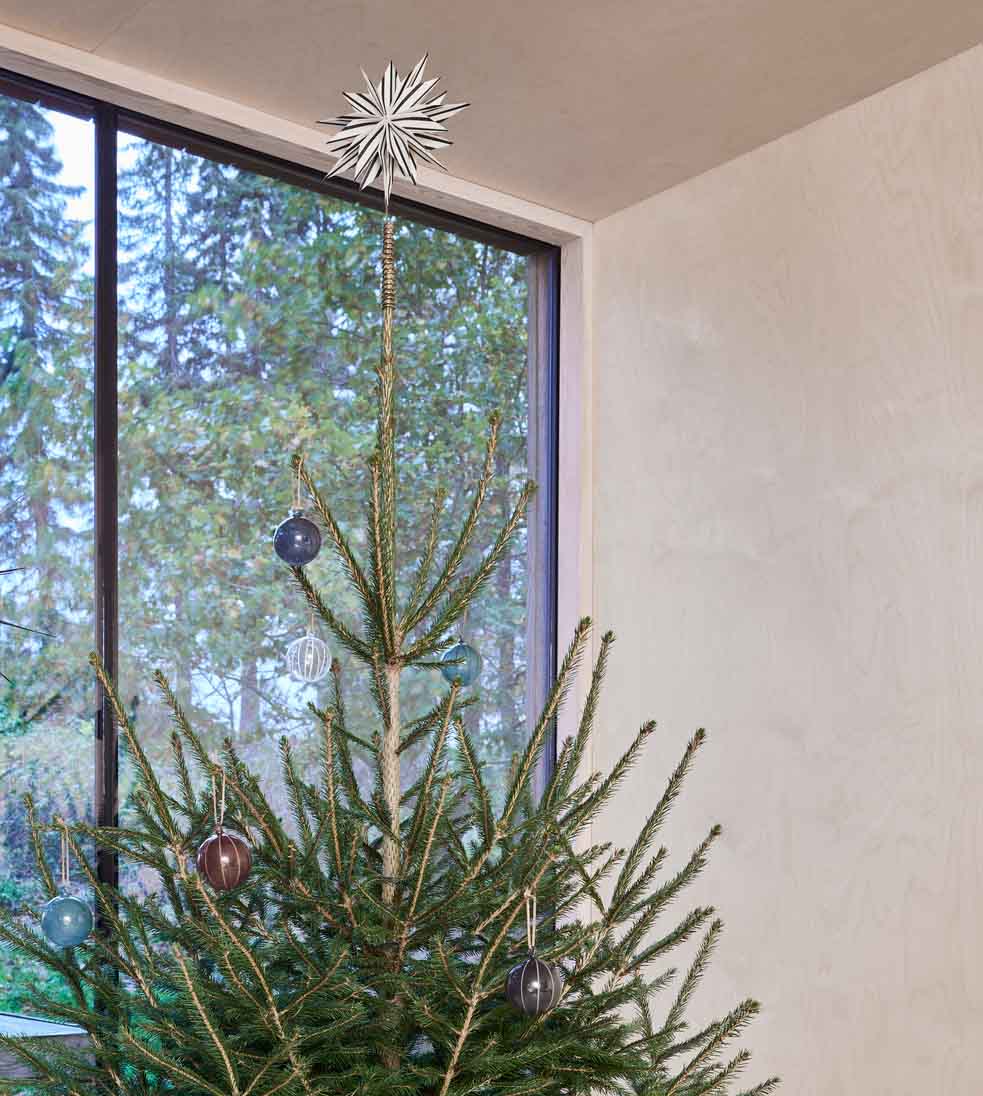 Étoile de noël | Blanc