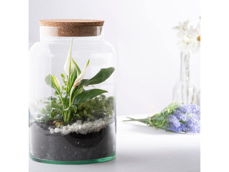 Esschert Design Terrarium-Flasche M, 18.5 x 32.5 cm Pflanzen-Terrarium Flasche