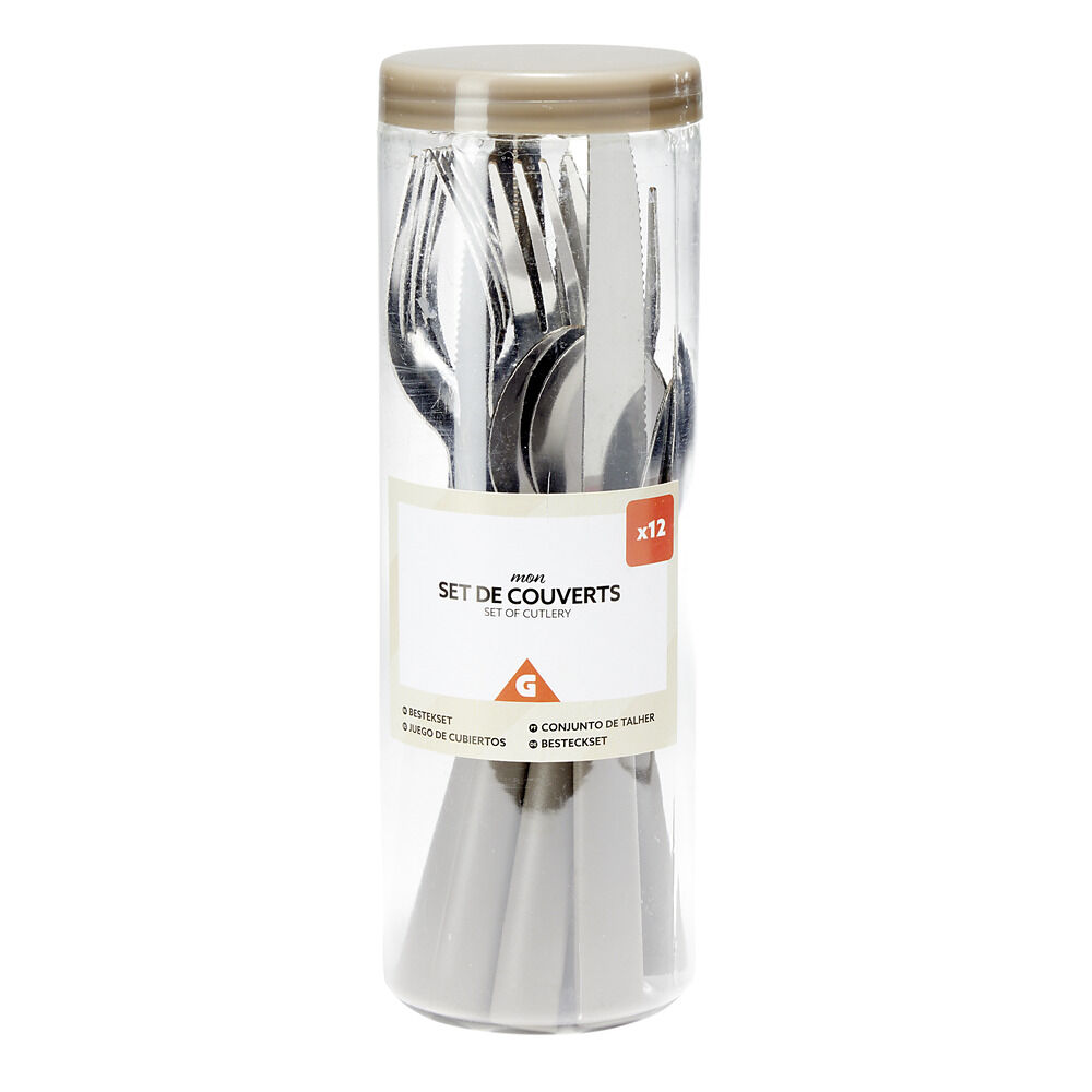 Ménagère couverts acier 12 pièces dans boîte plastique (4 modèles)