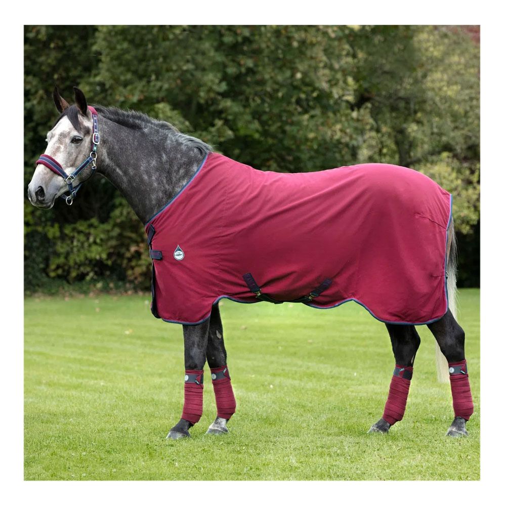 Horseware RAMBO HELIX STABLE SHEET - Chemise de box burg/burg/teal/nvy
