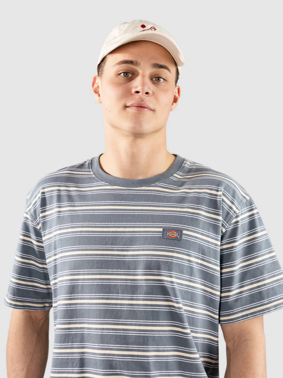 Dickies Lewistown Stripe T-Shirt stormy weather