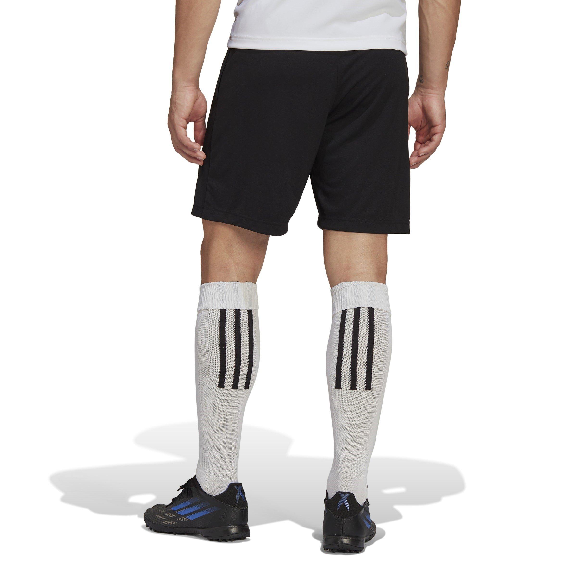 adidas Entrada 22 Training Shorts Mens
