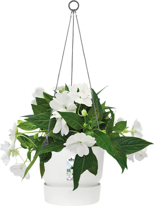Elho hangpot Greenville wit D 23,5 H 20,5 cm