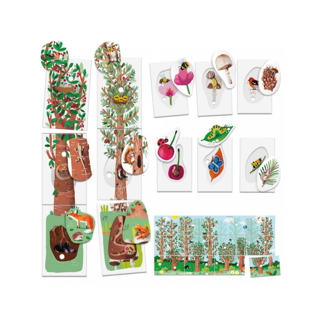 Flashcards My First Nature Montessori