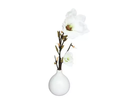 Composition Florale & Vase 