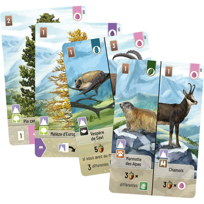 Forêt Mixte : Alpes