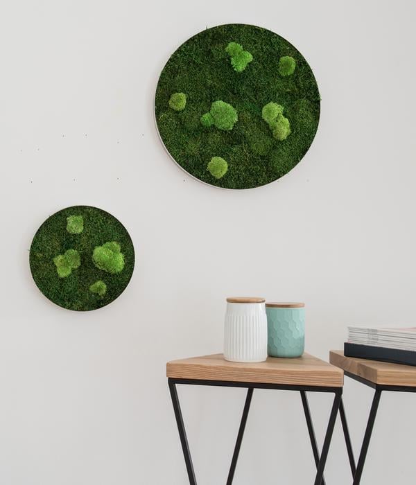 styleGREEN Bild aus Wald- und Kugelmoos,