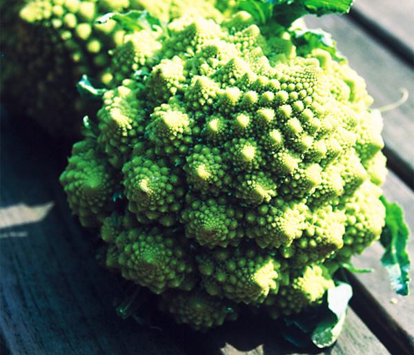 Romanesco, 6er Schale