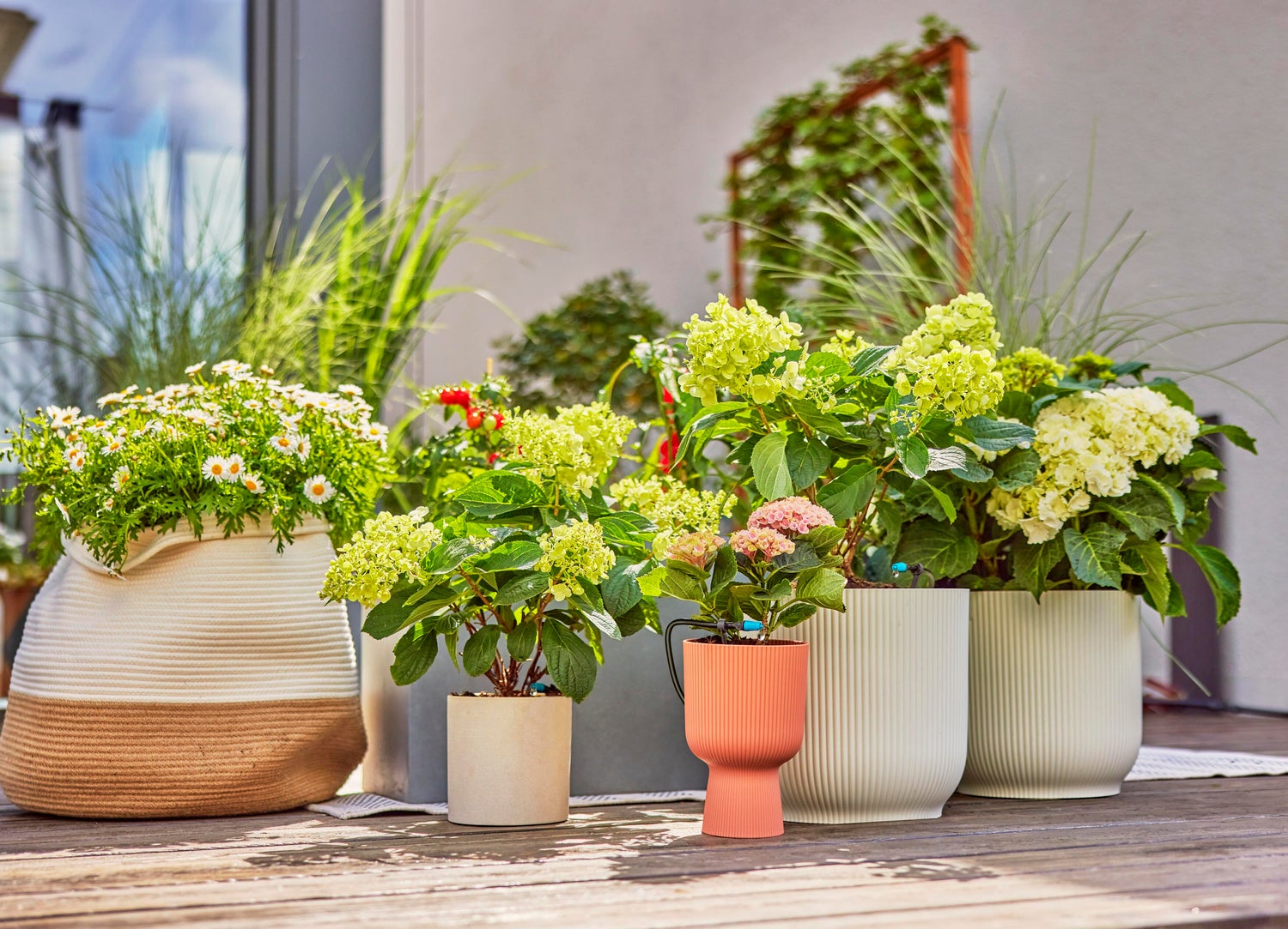 Gardena Micro Drip systeem druppelaar startset voor terras 30 planten