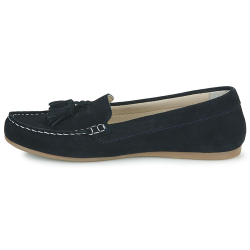 Casual Attitude - GATO - Marine