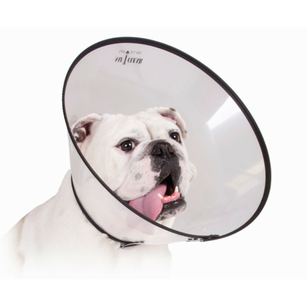 Collier de protection isabelino pour chiens saf-t-clear (38-63 cm)