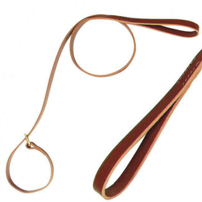 Laisse lasso en cuir 1,4 m pour chien