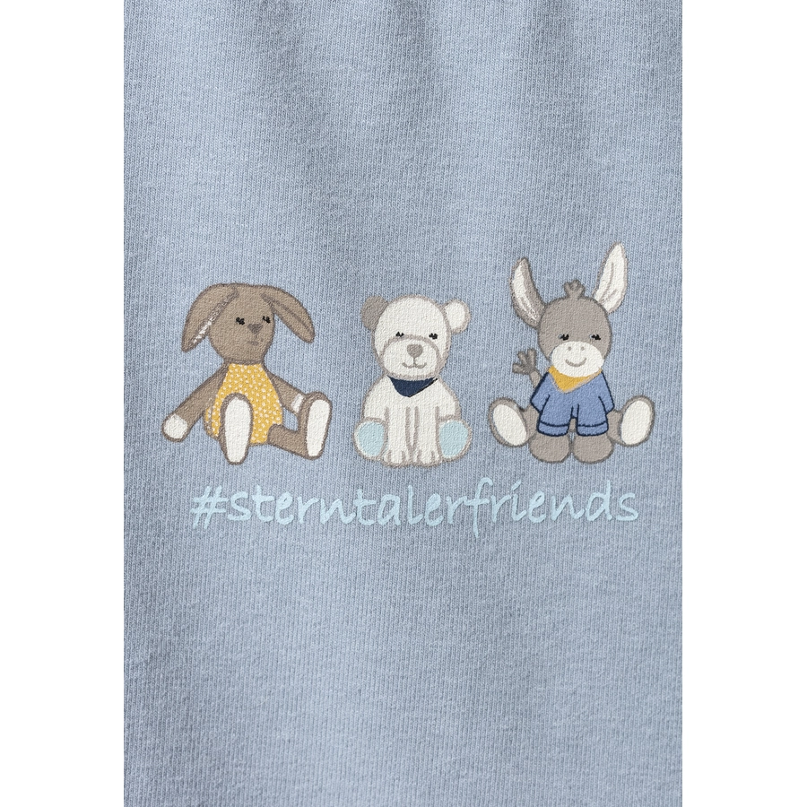 Sterntaler Kurzarm-Shirt Freunde graublau