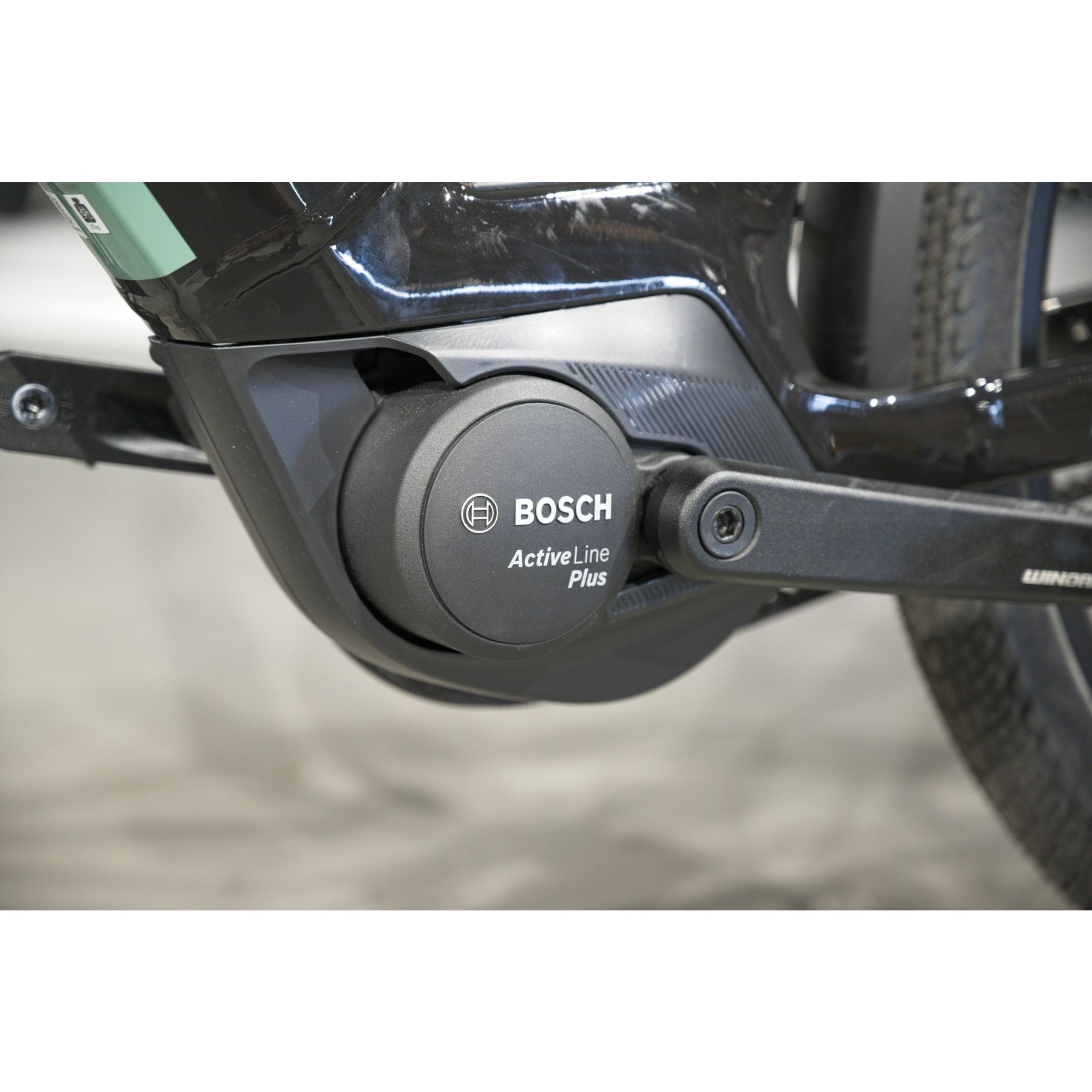 Winora Sinus R8F Belt 625 Wh