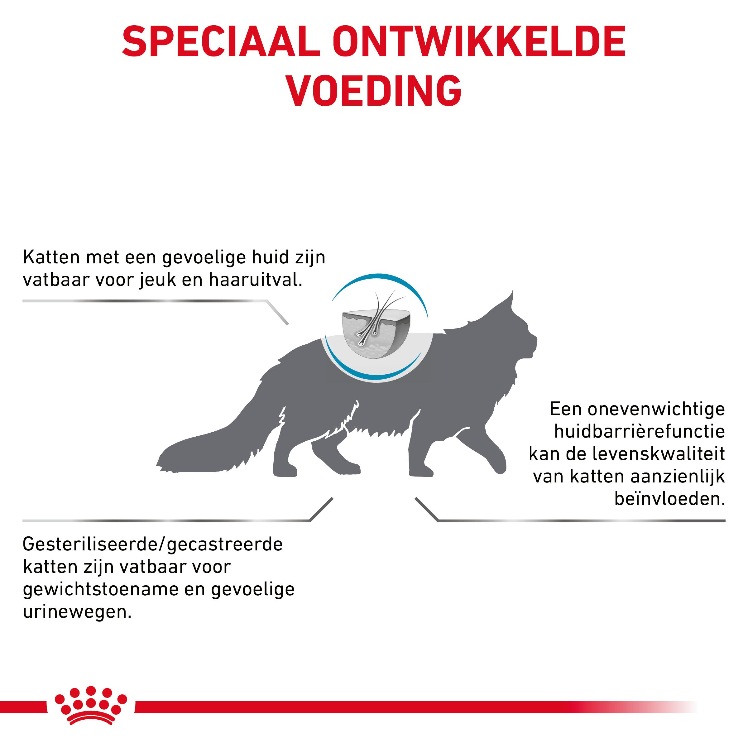 Royal Canin Skin & Coat