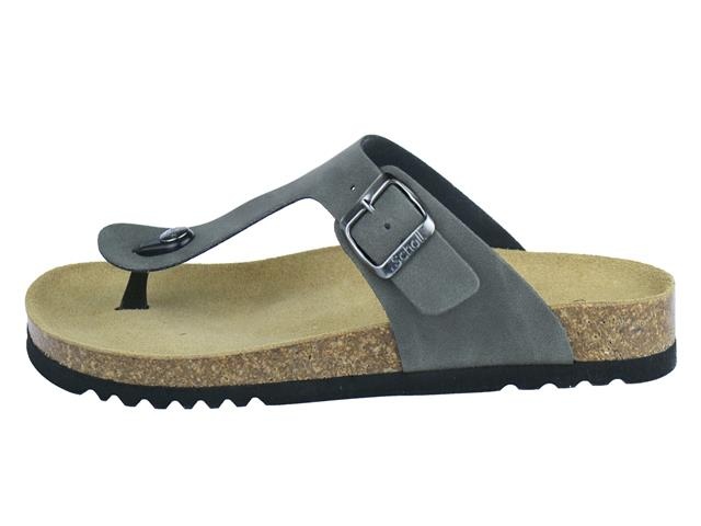 Scholl Evis