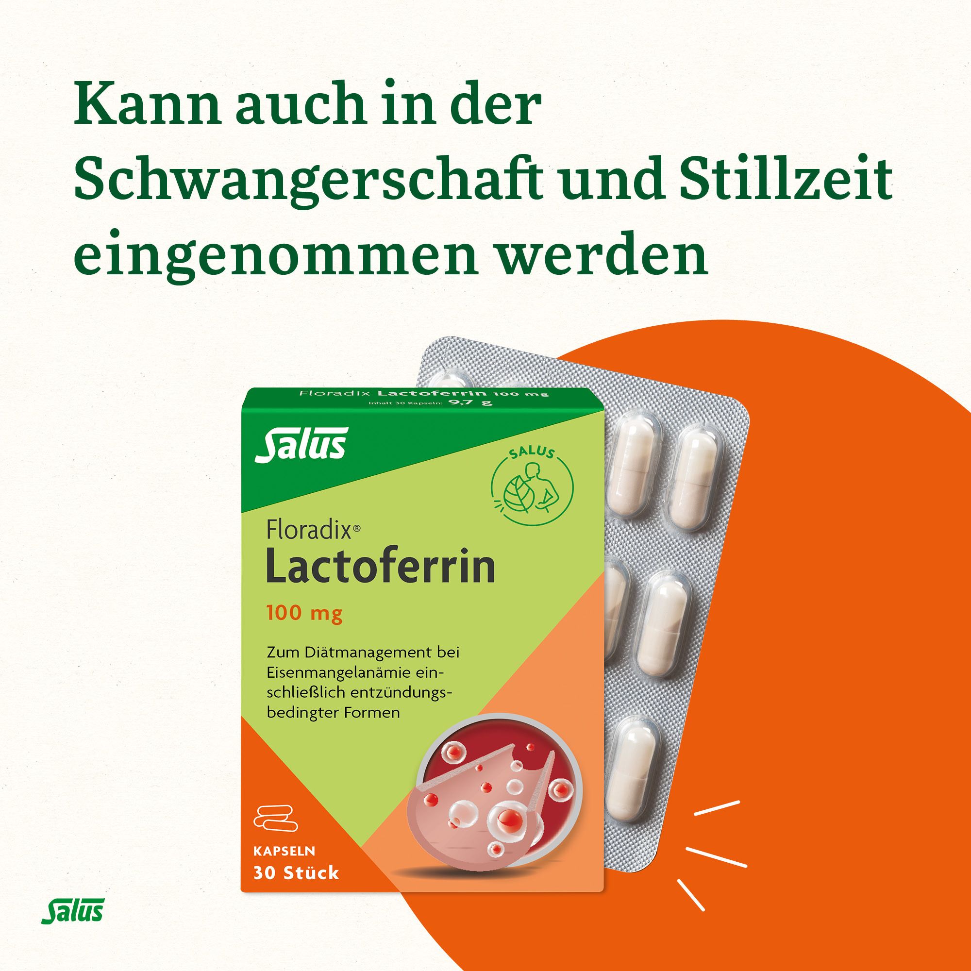 Salus® Floradix® Lactoferrin 100 mg