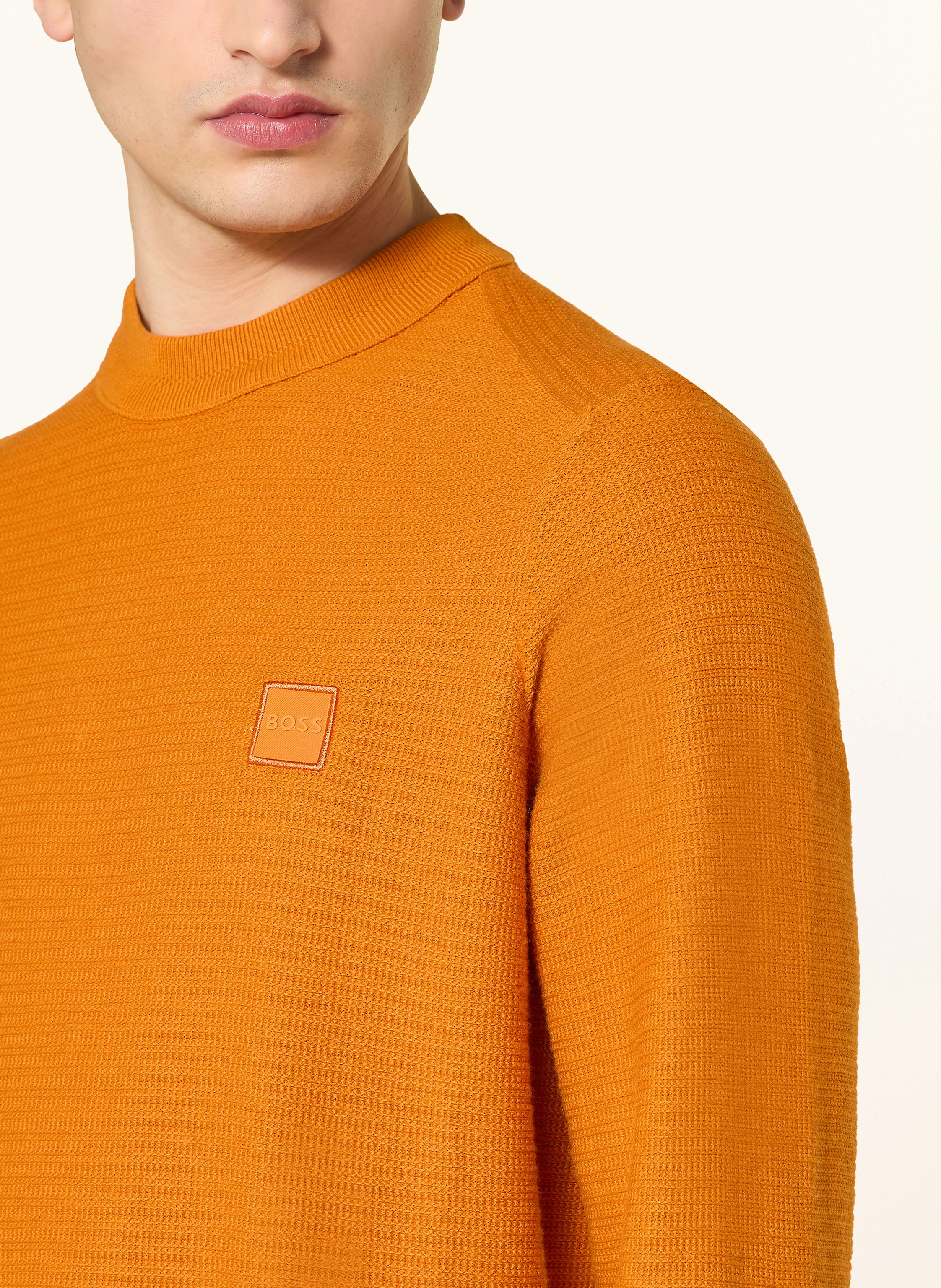 BOSS Pullover ANION