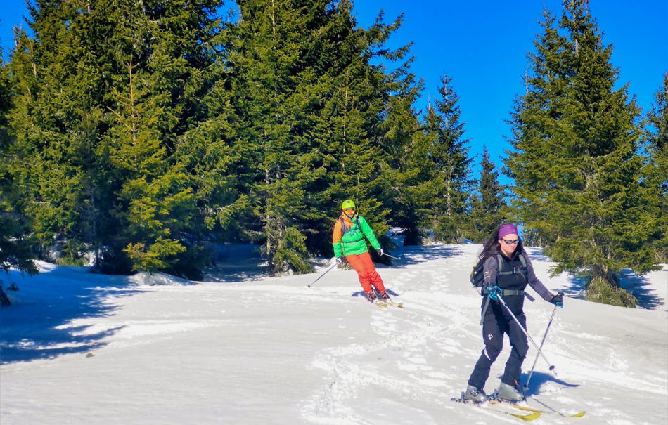 Einsteiger Skitour Neuberg an der Mürz
