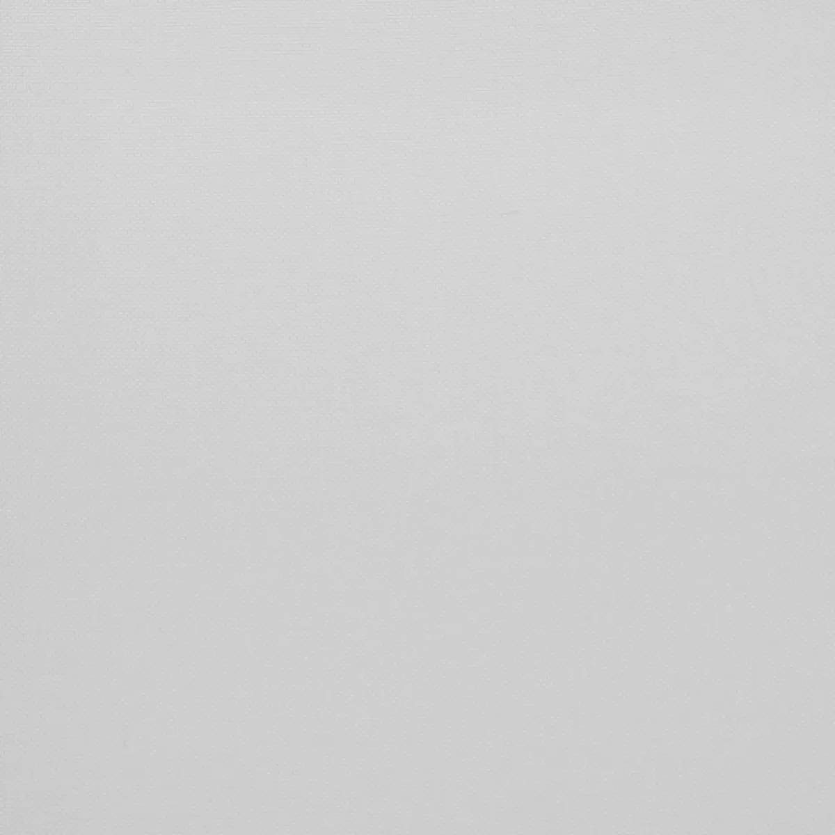 Tagvorhang Voile Silber