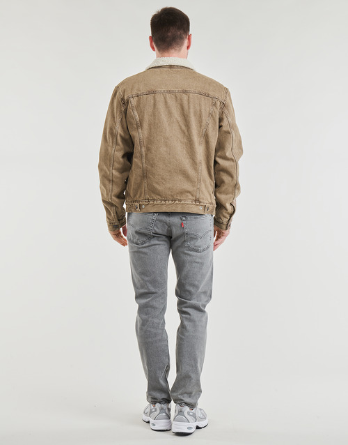 Levi's - TYPE 3 SHERPA TRUCKER Breakfast / Sandwich / Sherpa
