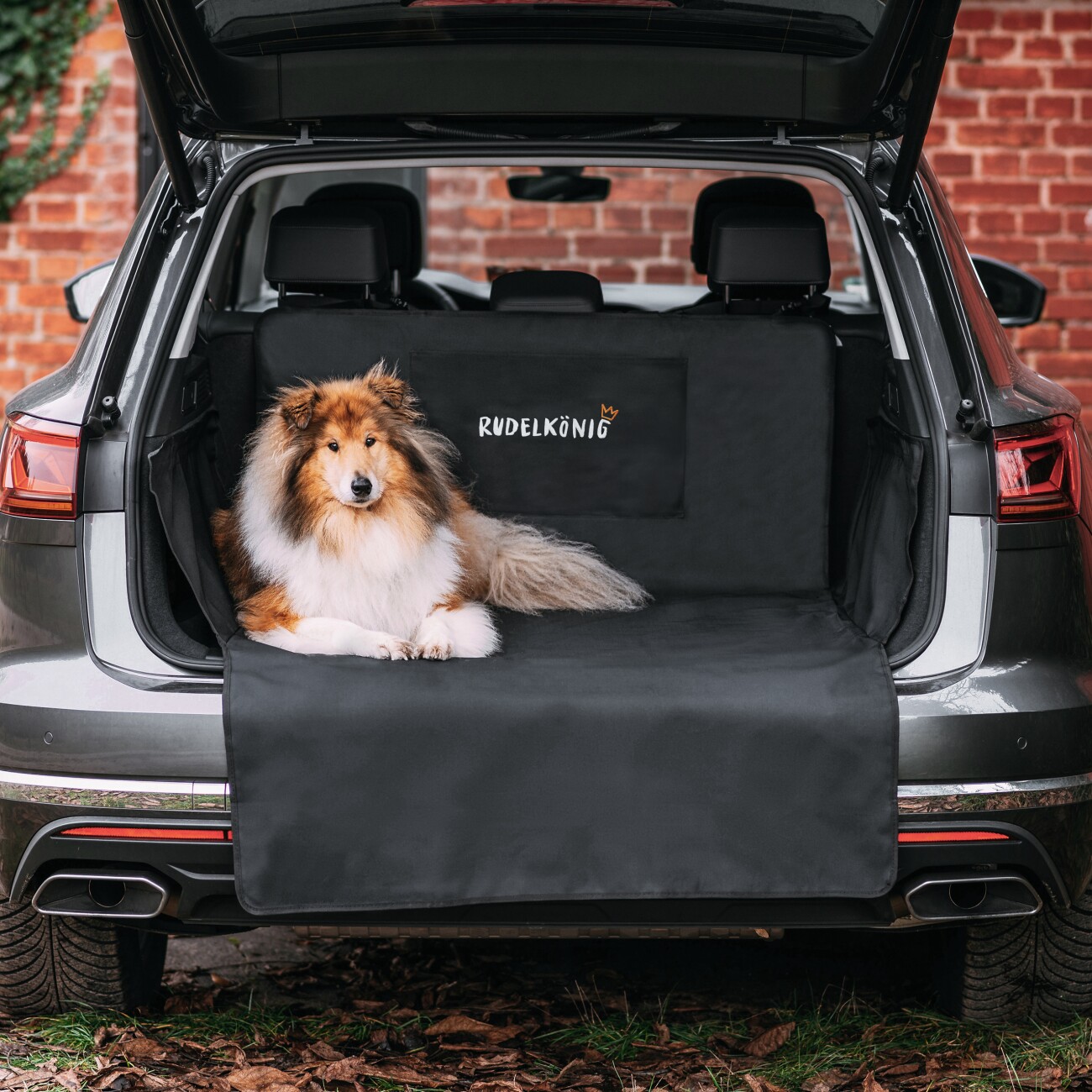 Rudelkönig Kofferraumschutz – Autoschondecke für Hunde