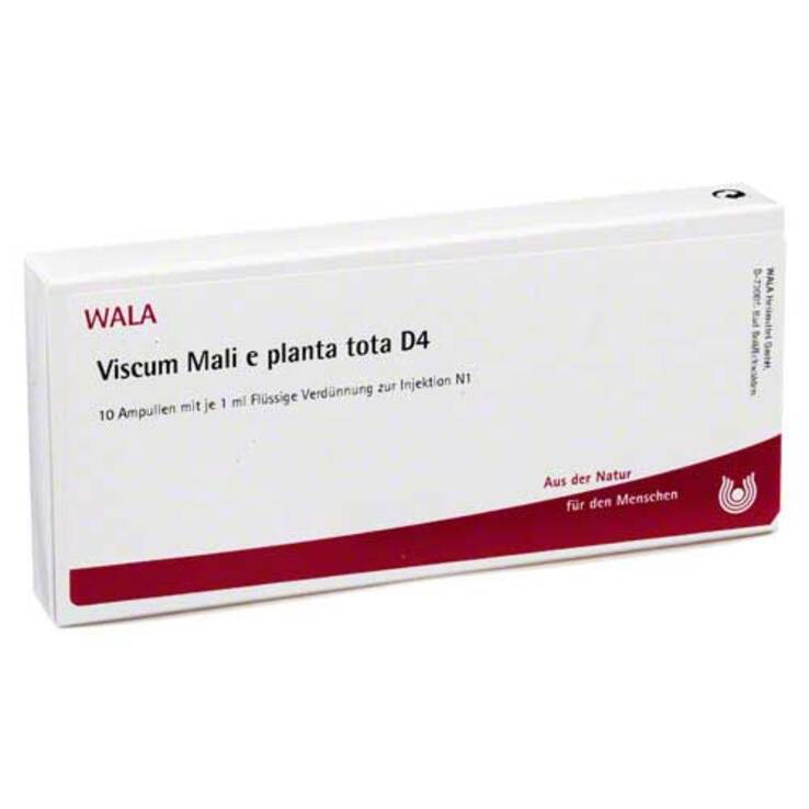 Viscum Mali e planta tota D 4 Ampullen, 10X1 ml